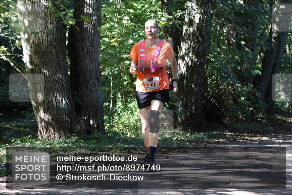 28.09.2025 - 33. Volkslauf durch das schöne Alstertal Strokosch-Dieckow http://msf.ph/oto/8974749 28.09.2025 12:59:36 Laufen 2278 meine-sportfotos.de