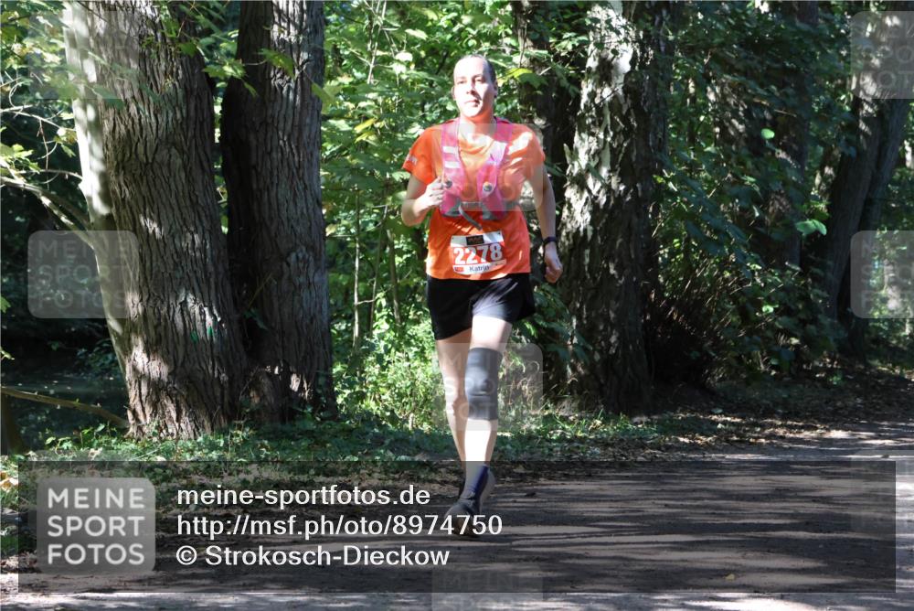 28.09.2025 - 33. Volkslauf durch das schöne Alstertal Strokosch-Dieckow http://msf.ph/oto/8974750 28.09.2025 12:59:36 Laufen 2278 meine-sportfotos.de