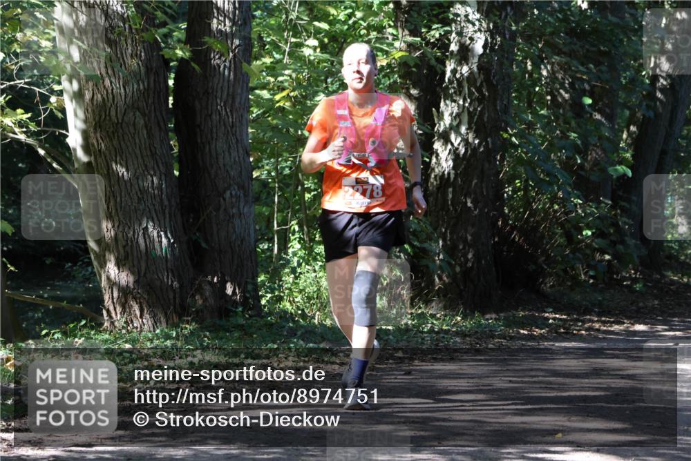 28.09.2025 - 33. Volkslauf durch das schöne Alstertal Strokosch-Dieckow http://msf.ph/oto/8974751 28.09.2025 12:59:36 Laufen 2278 meine-sportfotos.de