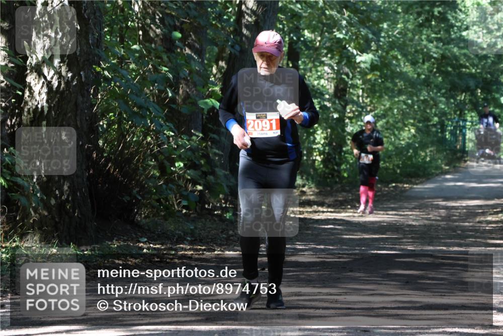 28.09.2025 - 33. Volkslauf durch das schöne Alstertal Strokosch-Dieckow http://msf.ph/oto/8974753 28.09.2025 13:00:03 Laufen 2091 meine-sportfotos.de