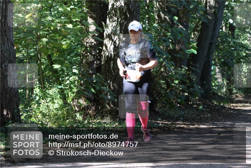 28.09.2025 - 33. Volkslauf durch das schöne Alstertal Strokosch-Dieckow http://msf.ph/oto/8974757 28.09.2025 13:00:14 Laufen  meine-sportfotos.de