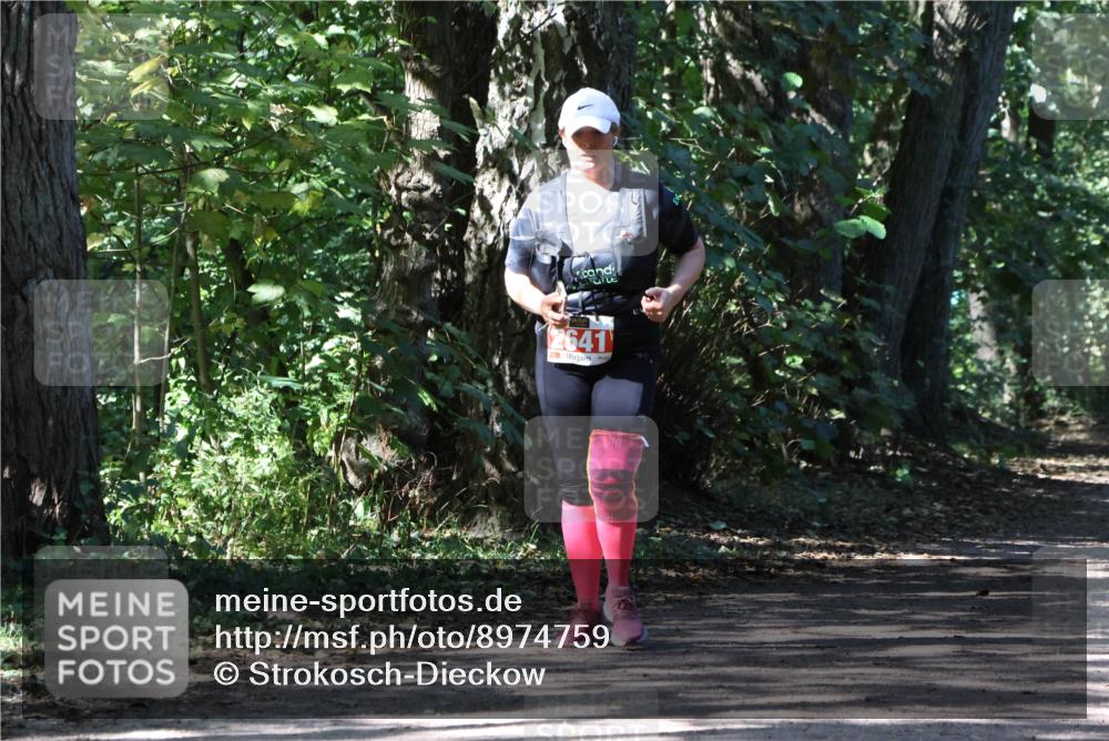 28.09.2025 - 33. Volkslauf durch das schöne Alstertal Strokosch-Dieckow http://msf.ph/oto/8974759 28.09.2025 13:00:14 Laufen 2641 meine-sportfotos.de