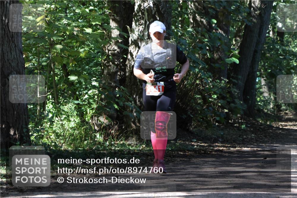 28.09.2025 - 33. Volkslauf durch das schöne Alstertal Strokosch-Dieckow http://msf.ph/oto/8974760 28.09.2025 13:00:14 Laufen 41 meine-sportfotos.de