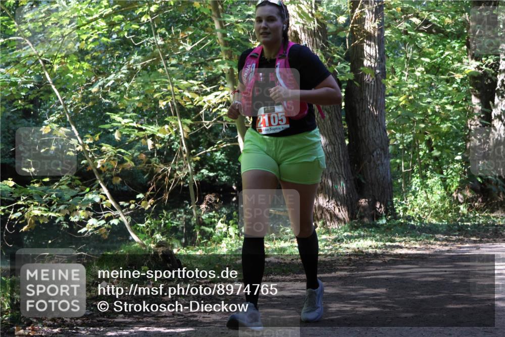 28.09.2025 - 33. Volkslauf durch das schöne Alstertal Strokosch-Dieckow http://msf.ph/oto/8974765 28.09.2025 13:00:51 Laufen 2105 meine-sportfotos.de