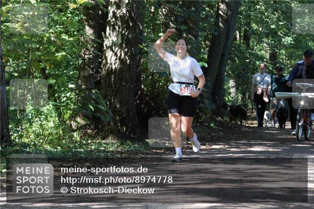 28.09.2025 - 33. Volkslauf durch das schöne Alstertal Strokosch-Dieckow http://msf.ph/oto/8974778 28.09.2025 13:01:48 Laufen 2483 meine-sportfotos.de