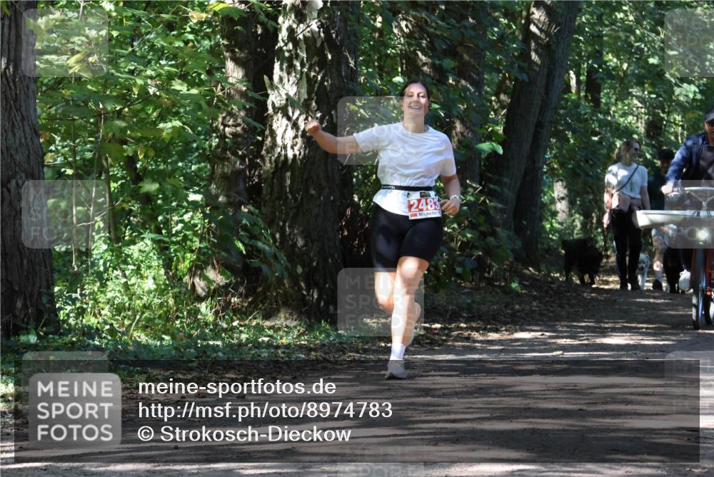 28.09.2025 - 33. Volkslauf durch das schöne Alstertal Strokosch-Dieckow http://msf.ph/oto/8974783 28.09.2025 13:01:48 Laufen 2483 meine-sportfotos.de