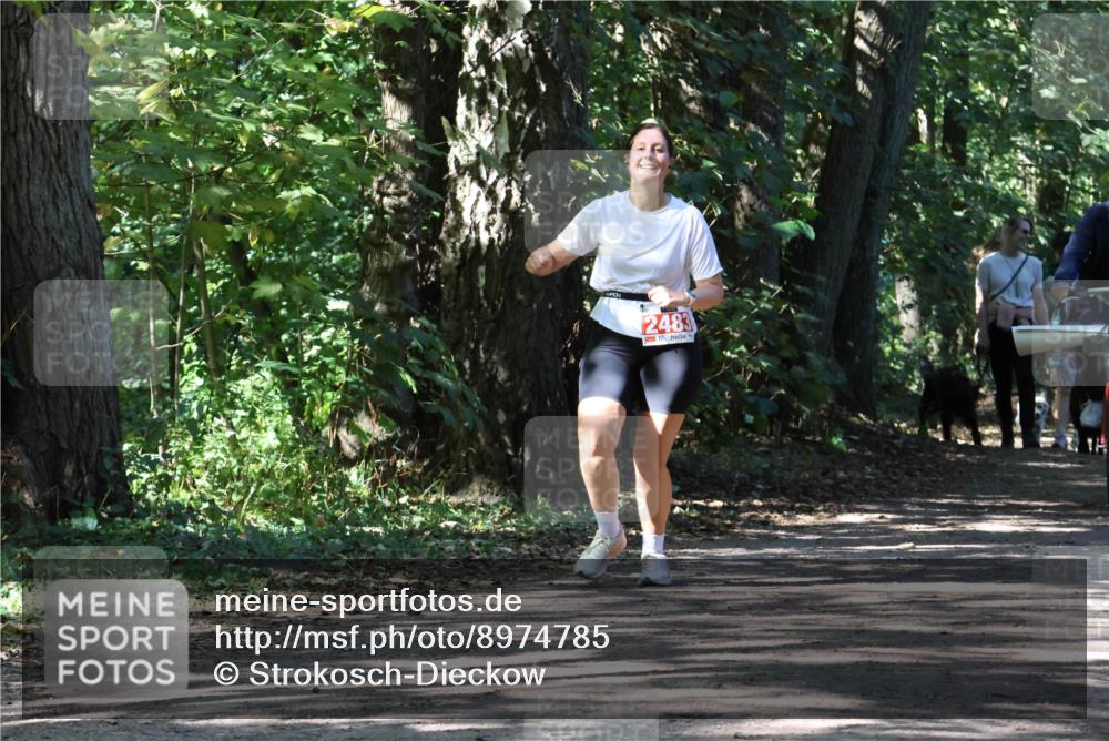 28.09.2025 - 33. Volkslauf durch das schöne Alstertal Strokosch-Dieckow http://msf.ph/oto/8974785 28.09.2025 13:01:48 Laufen 2483 meine-sportfotos.de