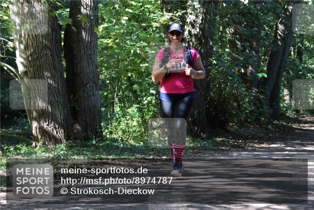 28.09.2025 - 33. Volkslauf durch das schöne Alstertal Strokosch-Dieckow http://msf.ph/oto/8974787 28.09.2025 13:02:23 Laufen 14 meine-sportfotos.de