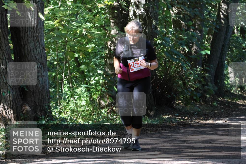 28.09.2025 - 33. Volkslauf durch das schöne Alstertal Strokosch-Dieckow http://msf.ph/oto/8974795 28.09.2025 13:02:32 Laufen 262 meine-sportfotos.de