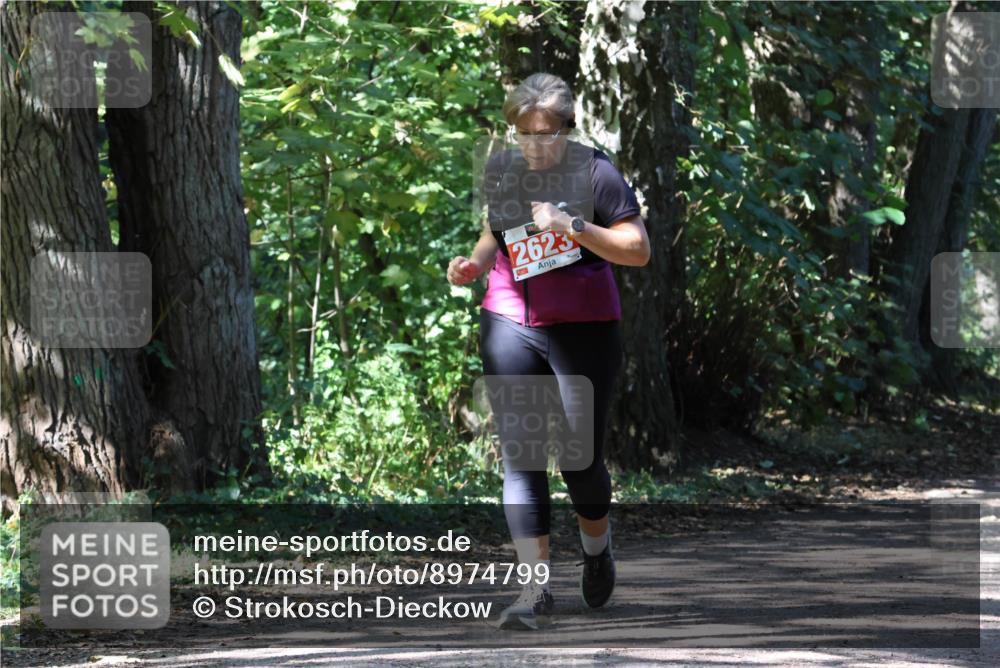 28.09.2025 - 33. Volkslauf durch das schöne Alstertal Strokosch-Dieckow http://msf.ph/oto/8974799 28.09.2025 13:02:32 Laufen 2623 meine-sportfotos.de