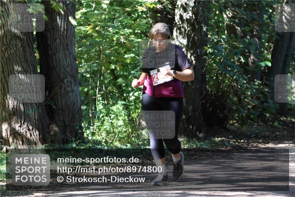 28.09.2025 - 33. Volkslauf durch das schöne Alstertal Strokosch-Dieckow http://msf.ph/oto/8974800 28.09.2025 13:02:32 Laufen 26 meine-sportfotos.de