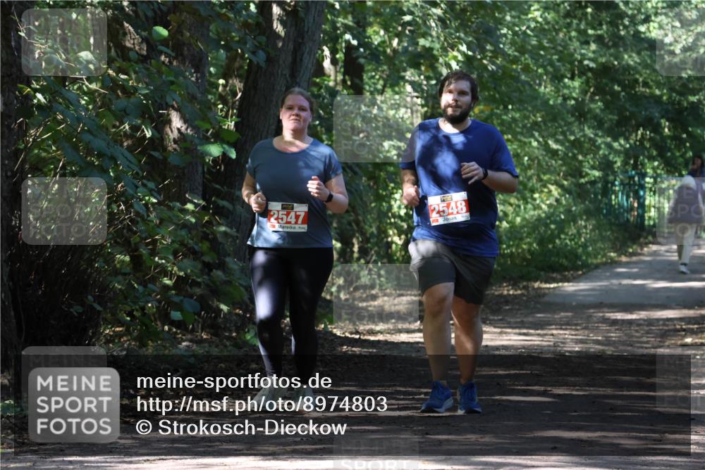 28.09.2025 - 33. Volkslauf durch das schöne Alstertal Strokosch-Dieckow http://msf.ph/oto/8974803 28.09.2025 13:03:05 Laufen 2547, 2548 meine-sportfotos.de