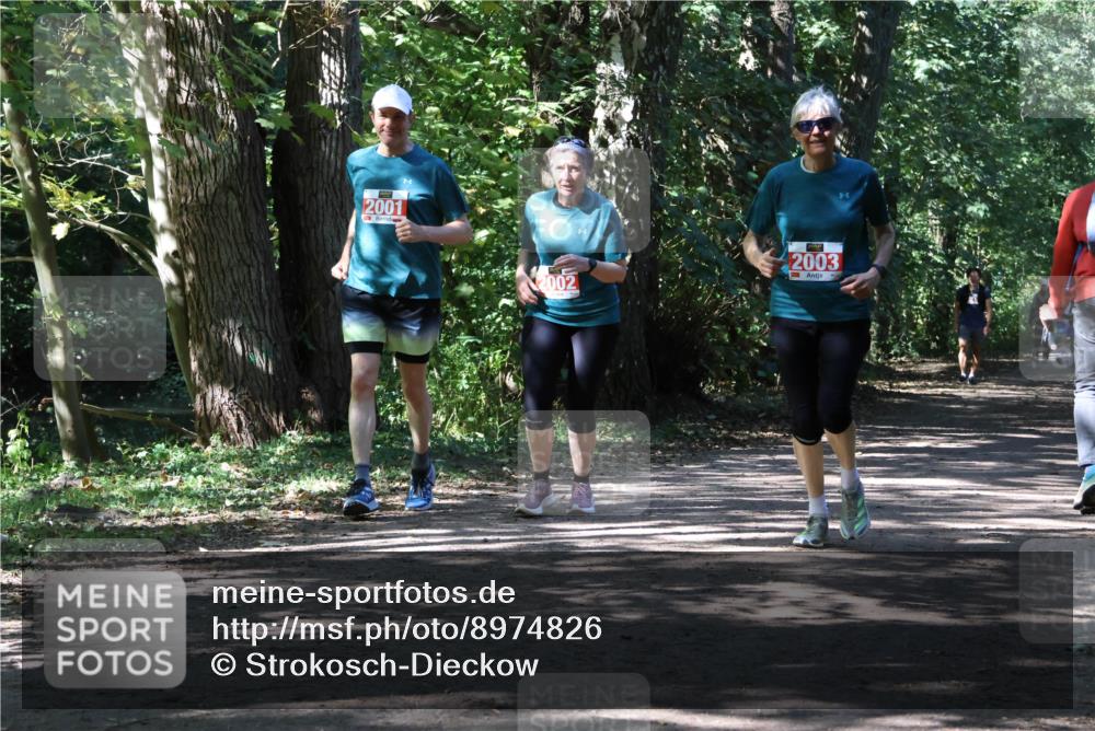 28.09.2025 - 33. Volkslauf durch das schöne Alstertal Strokosch-Dieckow http://msf.ph/oto/8974826 28.09.2025 13:05:56 Laufen 2001, 2002, 2003 meine-sportfotos.de