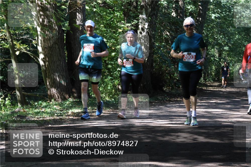 28.09.2025 - 33. Volkslauf durch das schöne Alstertal Strokosch-Dieckow http://msf.ph/oto/8974827 28.09.2025 13:05:56 Laufen 2001, 2002, 2003 meine-sportfotos.de