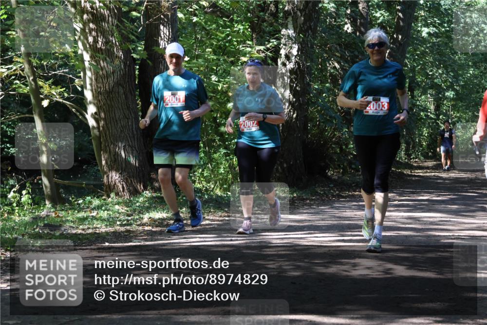 28.09.2025 - 33. Volkslauf durch das schöne Alstertal Strokosch-Dieckow http://msf.ph/oto/8974829 28.09.2025 13:05:56 Laufen 2001 meine-sportfotos.de