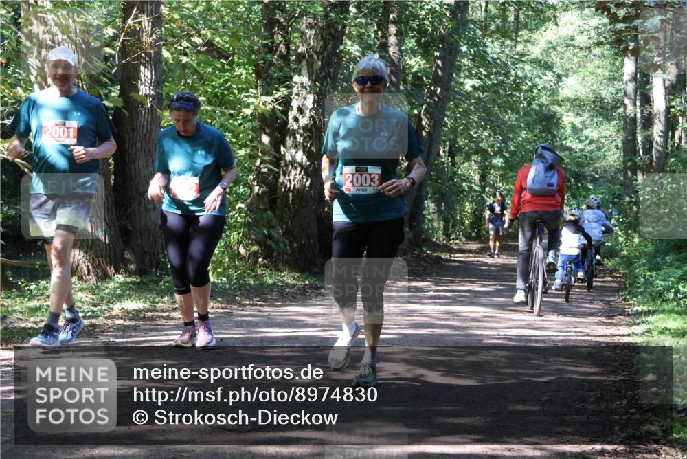 28.09.2025 - 33. Volkslauf durch das schöne Alstertal Strokosch-Dieckow http://msf.ph/oto/8974830 28.09.2025 13:05:57 Laufen 2001, 2003 meine-sportfotos.de