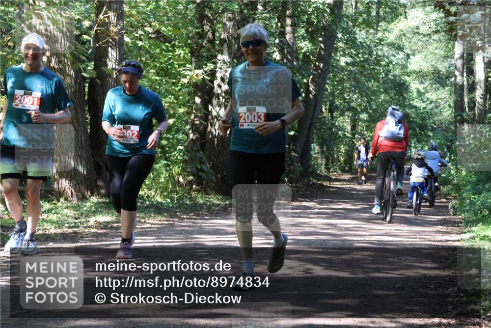 28.09.2025 - 33. Volkslauf durch das schöne Alstertal Strokosch-Dieckow http://msf.ph/oto/8974834 28.09.2025 13:05:58 Laufen 2001, 02, 2003 meine-sportfotos.de