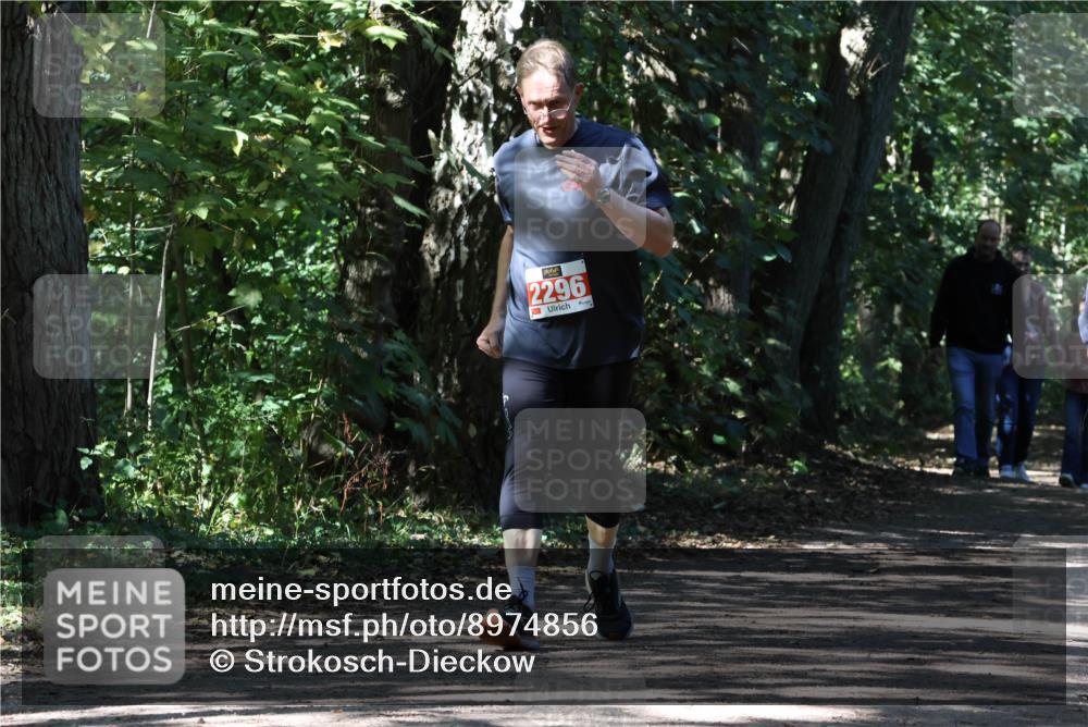 28.09.2025 - 33. Volkslauf durch das schöne Alstertal Strokosch-Dieckow http://msf.ph/oto/8974856 28.09.2025 13:10:35 Laufen 2296 meine-sportfotos.de