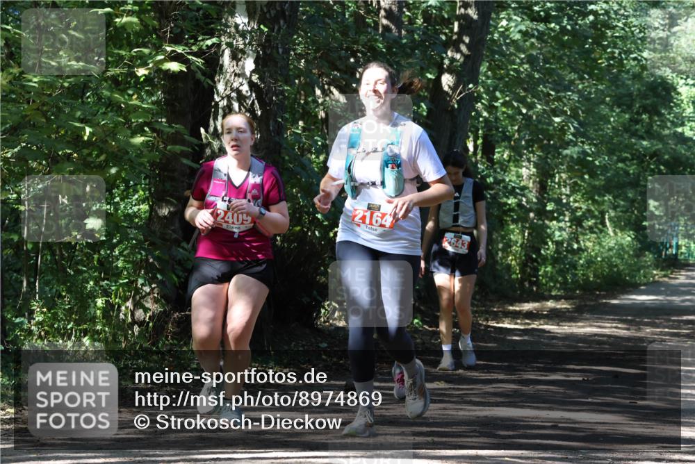 28.09.2025 - 33. Volkslauf durch das schöne Alstertal Strokosch-Dieckow http://msf.ph/oto/8974869 28.09.2025 13:14:29 Laufen 2409, 2164, 2643 meine-sportfotos.de