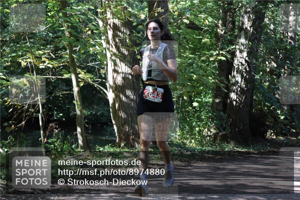 28.09.2025 - 33. Volkslauf durch das schöne Alstertal Strokosch-Dieckow http://msf.ph/oto/8974880 28.09.2025 13:14:35 Laufen 2643 meine-sportfotos.de