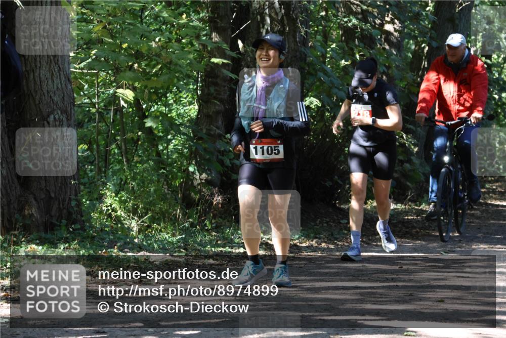 28.09.2025 - 33. Volkslauf durch das schöne Alstertal Strokosch-Dieckow http://msf.ph/oto/8974899 28.09.2025 13:21:52 Laufen 1105 meine-sportfotos.de