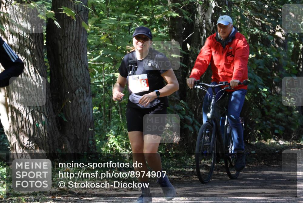 28.09.2025 - 33. Volkslauf durch das schöne Alstertal Strokosch-Dieckow http://msf.ph/oto/8974907 28.09.2025 13:21:54 Laufen 8 meine-sportfotos.de