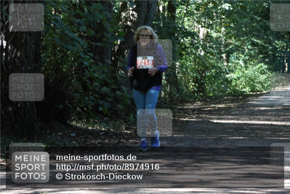 28.09.2025 - 33. Volkslauf durch das schöne Alstertal Strokosch-Dieckow http://msf.ph/oto/8974916 28.09.2025 13:35:05 Laufen 2219 meine-sportfotos.de