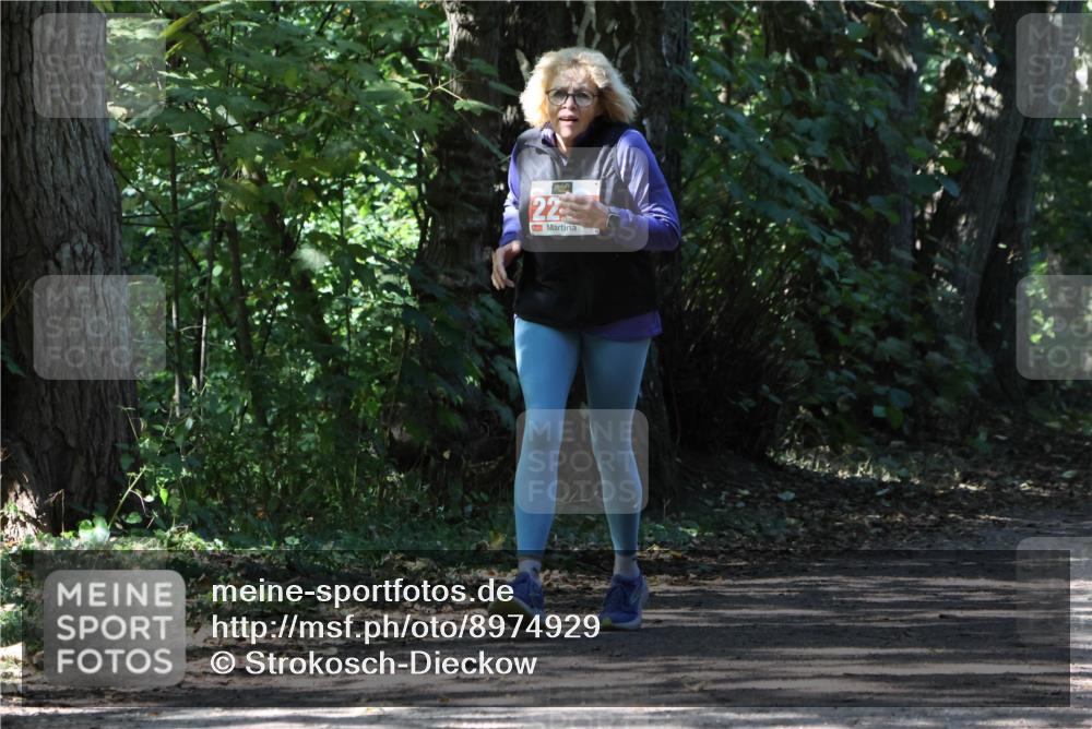 28.09.2025 - 33. Volkslauf durch das schöne Alstertal Strokosch-Dieckow http://msf.ph/oto/8974929 28.09.2025 13:35:07 Laufen 22 meine-sportfotos.de