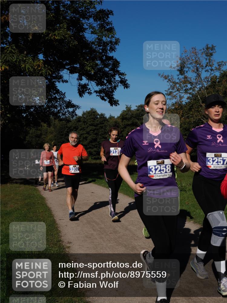 28.09.2025 - 33. Volkslauf durch das schöne Alstertal Fabian Wolf http://msf.ph/oto/8975559 28.09.2025 10:36:54 Laufen 3073, 3332, 3139, 90, 2, 3258, 13257 meine-sportfotos.de