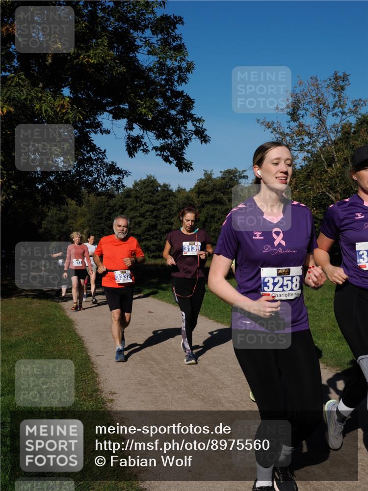 28.09.2025 - 33. Volkslauf durch das schöne Alstertal Fabian Wolf http://msf.ph/oto/8975560 28.09.2025 10:36:54 Laufen 3073, 3332, 3139, 18, 3258, 31, 13 meine-sportfotos.de