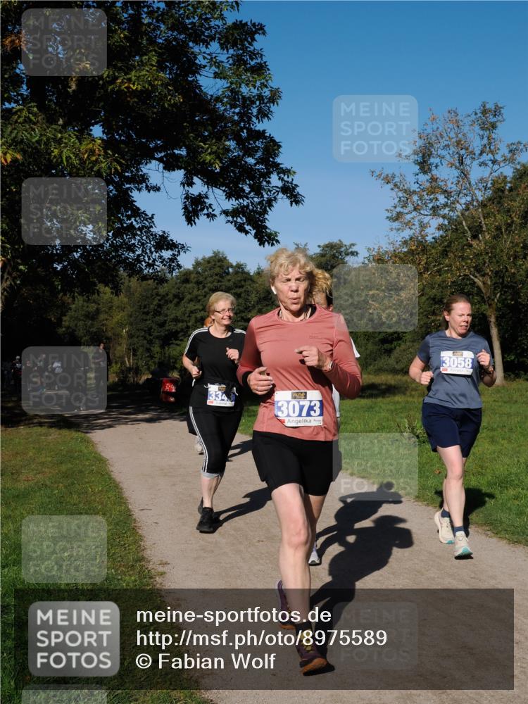 28.09.2025 - 33. Volkslauf durch das schöne Alstertal Fabian Wolf http://msf.ph/oto/8975589 28.09.2025 10:36:58 Laufen 334, 3073, 3058 meine-sportfotos.de