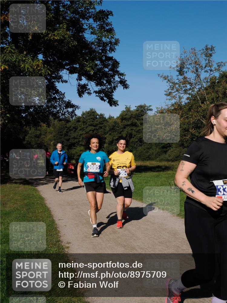 28.09.2025 - 33. Volkslauf durch das schöne Alstertal Fabian Wolf http://msf.ph/oto/8975709 28.09.2025 10:37:32 Laufen 3085, 984, 33 meine-sportfotos.de