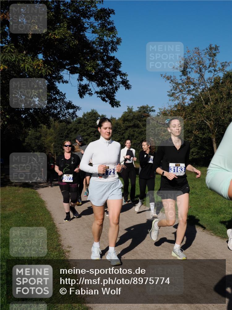 28.09.2025 - 33. Volkslauf durch das schöne Alstertal Fabian Wolf http://msf.ph/oto/8975774 28.09.2025 10:37:46 Laufen 3077, 72, 3163 meine-sportfotos.de