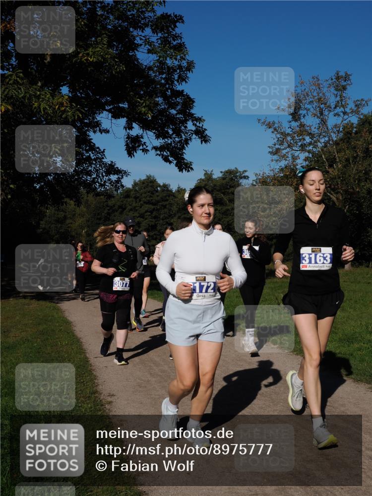28.09.2025 - 33. Volkslauf durch das schöne Alstertal Fabian Wolf http://msf.ph/oto/8975777 28.09.2025 10:37:47 Laufen 3077, 172, 3163 meine-sportfotos.de