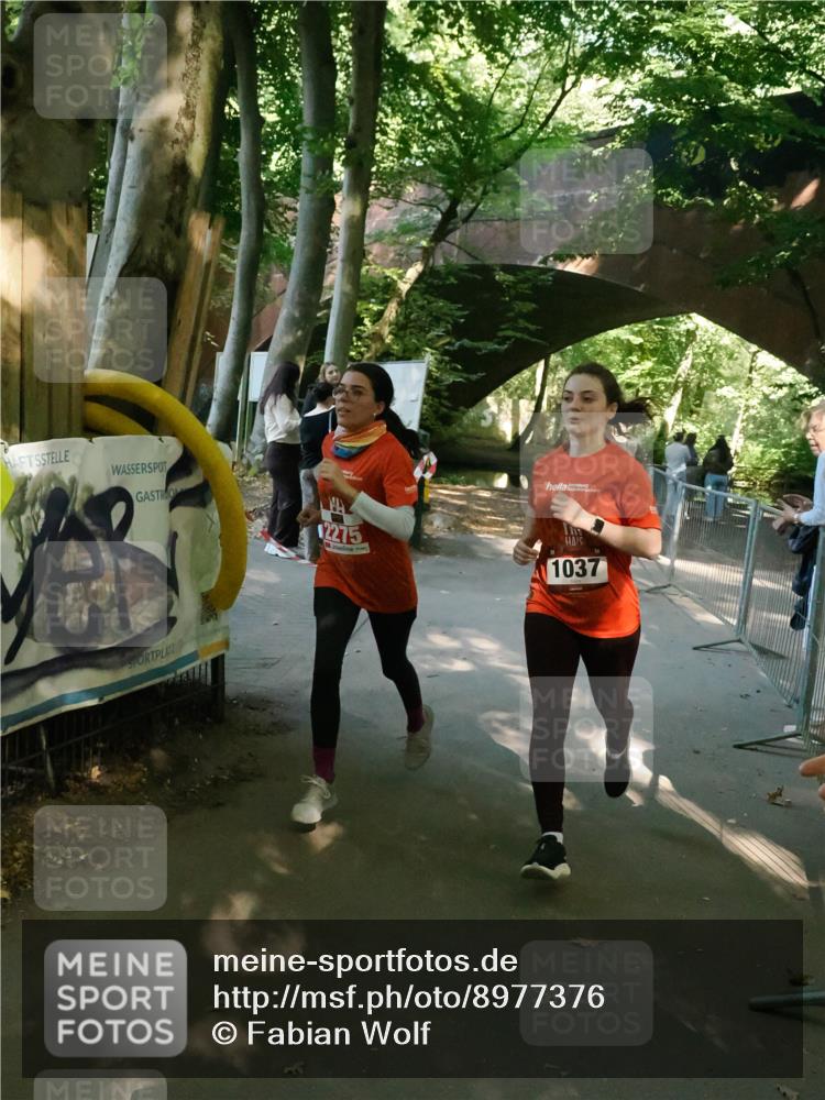 28.09.2025 - 33. Volkslauf durch das schöne Alstertal Fabian Wolf http://msf.ph/oto/8977376 28.09.2025 12:43:05 Laufen 12275, 1, 1037 meine-sportfotos.de
