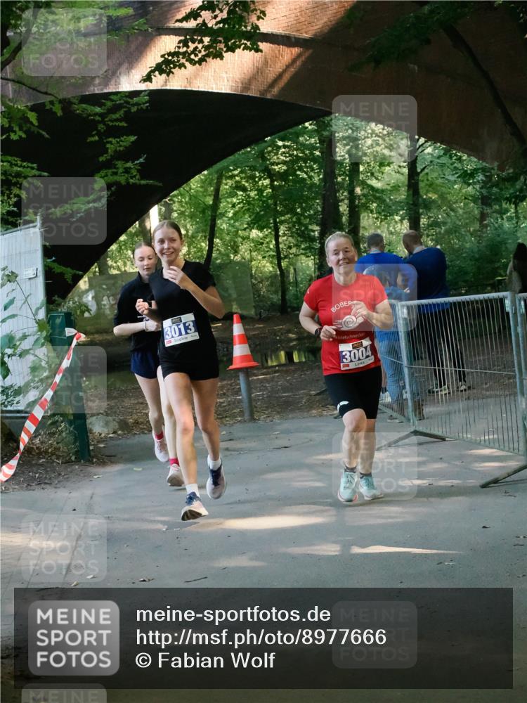 28.09.2025 - 33. Volkslauf durch das schöne Alstertal Fabian Wolf http://msf.ph/oto/8977666 28.09.2025 11:33:31 Laufen 3013, 3004 meine-sportfotos.de