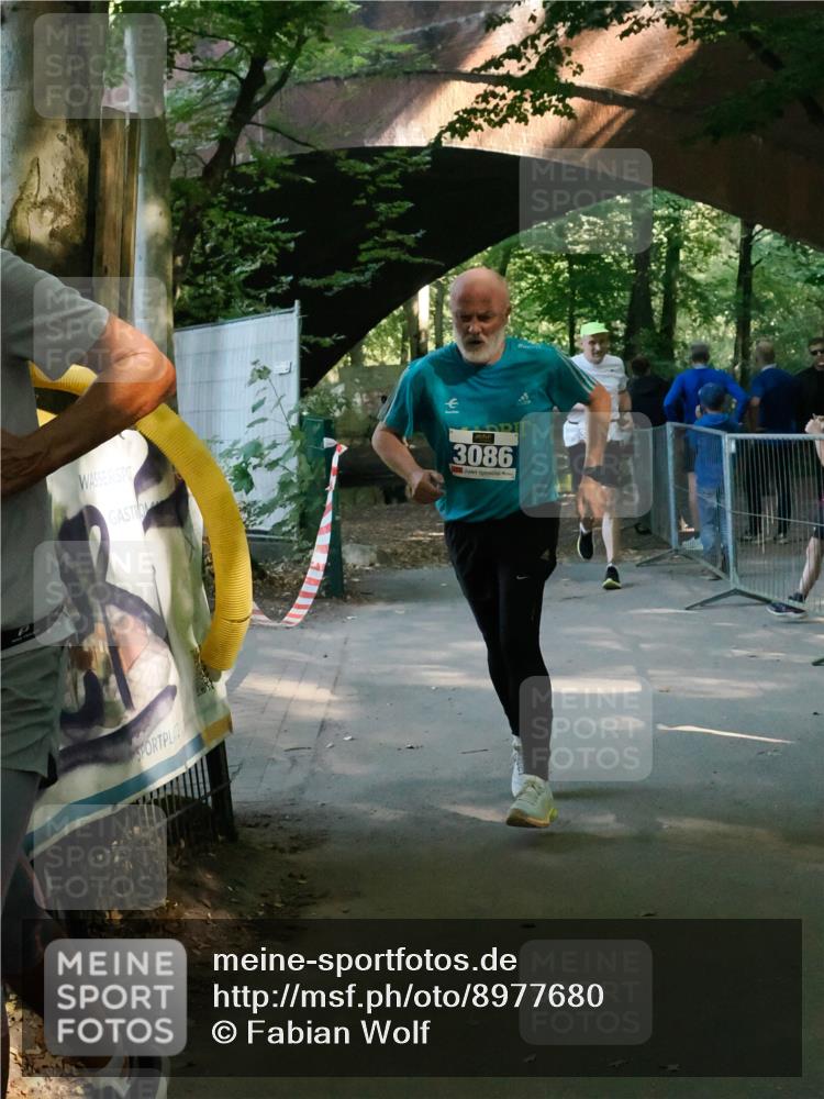 28.09.2025 - 33. Volkslauf durch das schöne Alstertal Fabian Wolf http://msf.ph/oto/8977680 28.09.2025 11:34:16 Laufen 3086 meine-sportfotos.de