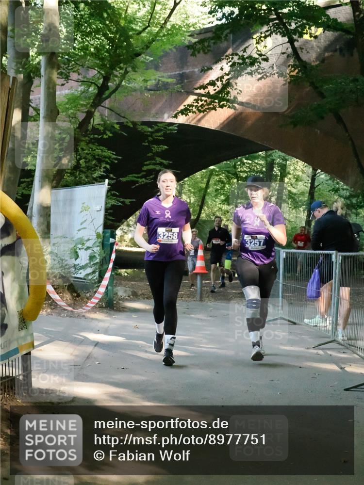 28.09.2025 - 33. Volkslauf durch das schöne Alstertal Fabian Wolf http://msf.ph/oto/8977751 28.09.2025 11:39:46 Laufen 2, 3258, 1767, 3257 meine-sportfotos.de