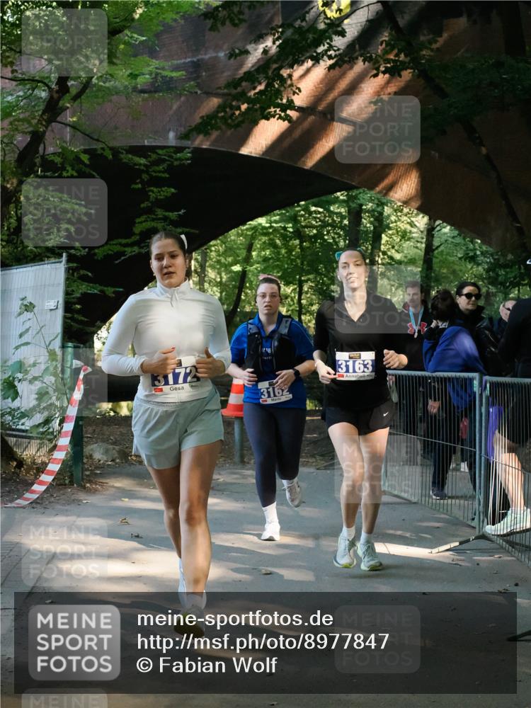 28.09.2025 - 33. Volkslauf durch das schöne Alstertal Fabian Wolf http://msf.ph/oto/8977847 28.09.2025 11:46:26 Laufen 3172, 3162, 3163 meine-sportfotos.de