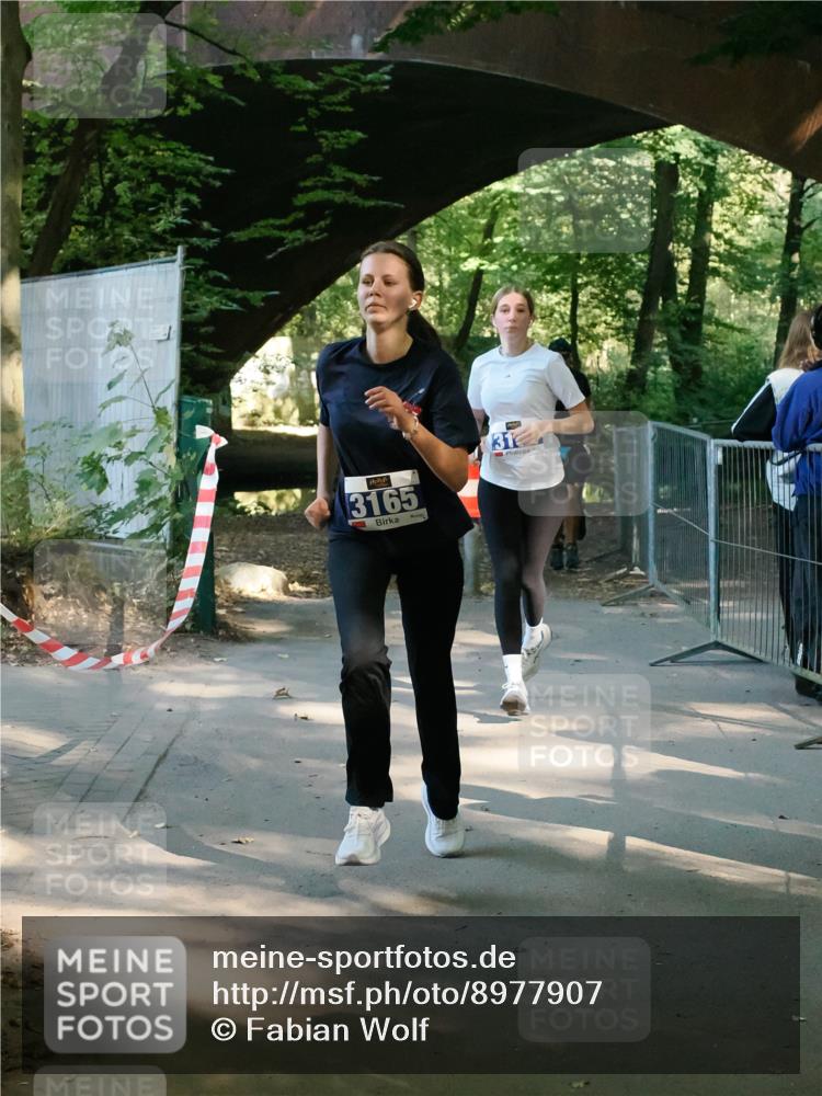 28.09.2025 - 33. Volkslauf durch das schöne Alstertal Fabian Wolf http://msf.ph/oto/8977907 28.09.2025 11:51:38 Laufen 3165, 31 meine-sportfotos.de