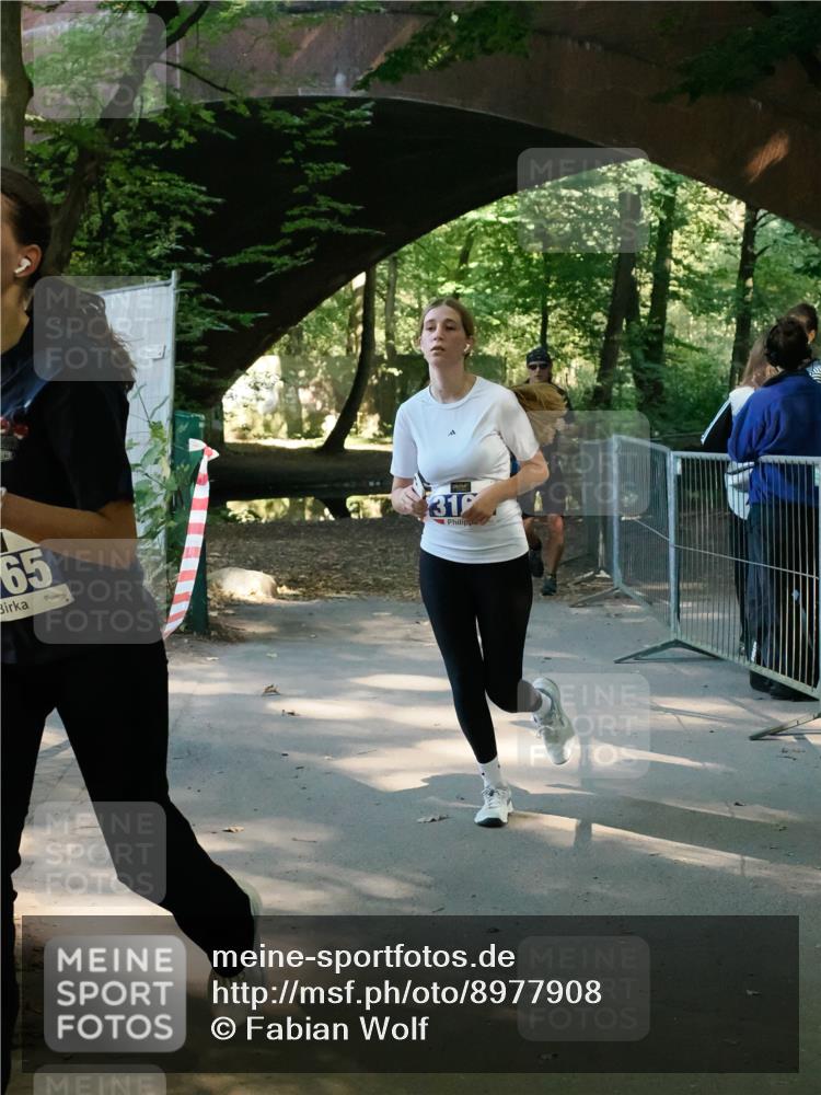 28.09.2025 - 33. Volkslauf durch das schöne Alstertal Fabian Wolf http://msf.ph/oto/8977908 28.09.2025 11:51:39 Laufen 65, 31 meine-sportfotos.de