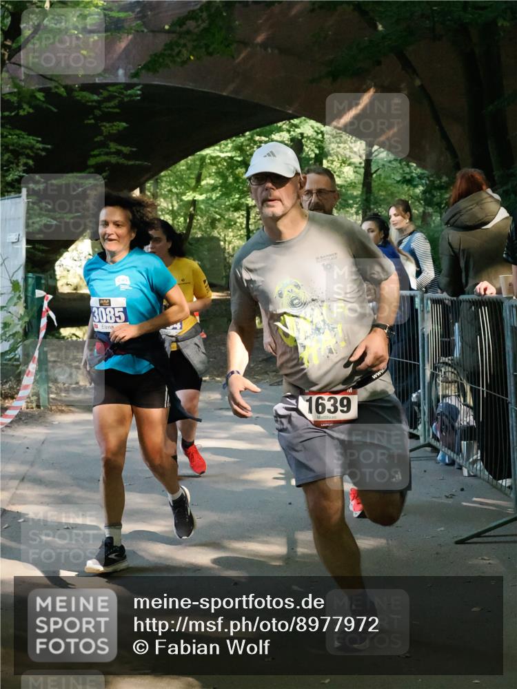 28.09.2025 - 33. Volkslauf durch das schöne Alstertal Fabian Wolf http://msf.ph/oto/8977972 28.09.2025 11:55:59 Laufen 3085, 36, 10, 1639 meine-sportfotos.de