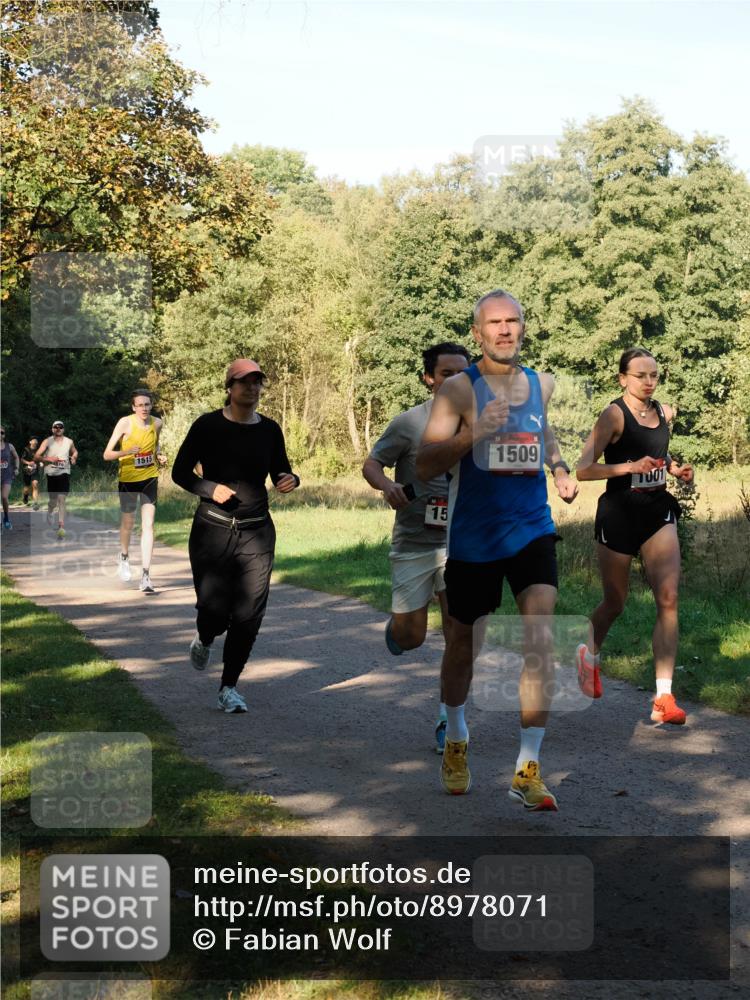 28.09.2025 - 33. Volkslauf durch das schöne Alstertal Fabian Wolf http://msf.ph/oto/8978071 28.09.2025 10:03:30 Laufen 13, 1515, 15, 1509 meine-sportfotos.de