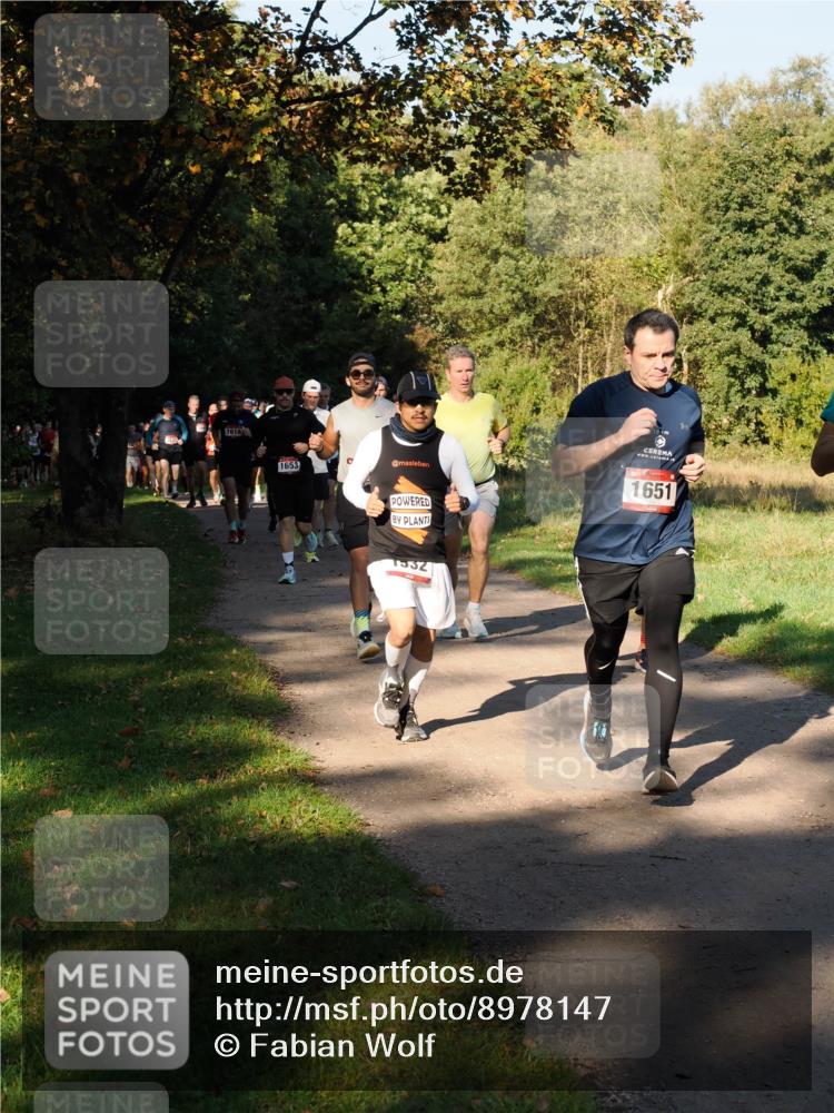 28.09.2025 - 33. Volkslauf durch das schöne Alstertal Fabian Wolf http://msf.ph/oto/8978147 28.09.2025 10:04:30 Laufen 1618, 1653, 1651, 1532 meine-sportfotos.de