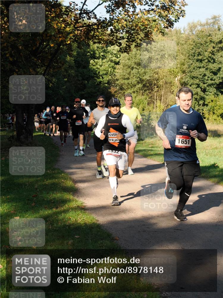 28.09.2025 - 33. Volkslauf durch das schöne Alstertal Fabian Wolf http://msf.ph/oto/8978148 28.09.2025 10:04:30 Laufen 1618, 1653, 1532, 1651 meine-sportfotos.de
