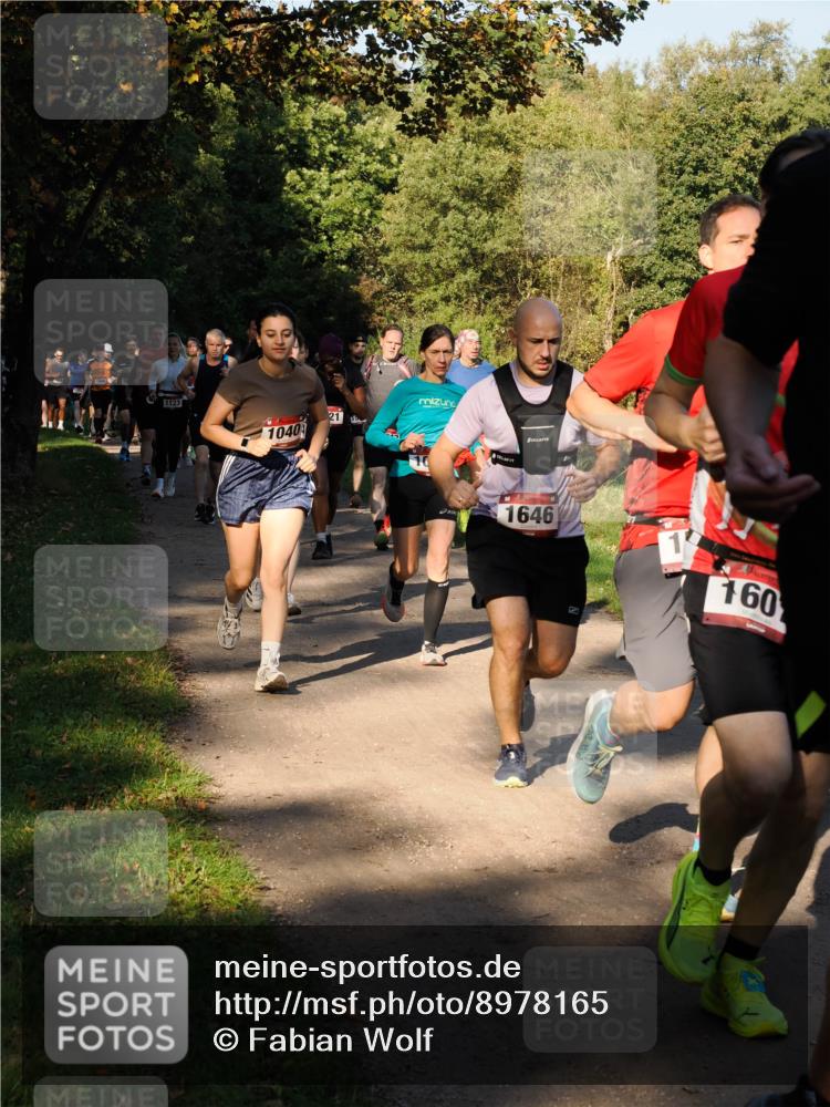 28.09.2025 - 33. Volkslauf durch das schöne Alstertal Fabian Wolf http://msf.ph/oto/8978165 28.09.2025 10:04:42 Laufen 1123, 1040, 21, 1646, 160 meine-sportfotos.de