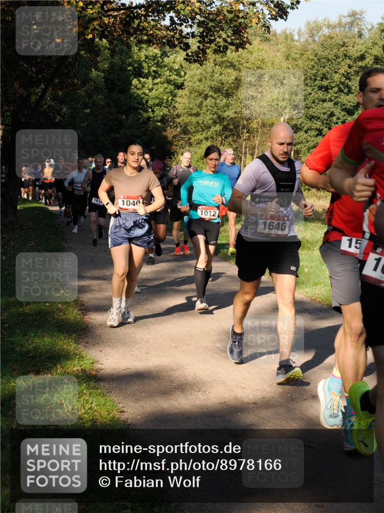 28.09.2025 - 33. Volkslauf durch das schöne Alstertal Fabian Wolf http://msf.ph/oto/8978166 28.09.2025 10:04:42 Laufen 1123, 1614, 1040, 1012, 1646, 15, 70, 1 meine-sportfotos.de