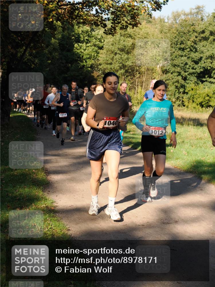 28.09.2025 - 33. Volkslauf durch das schöne Alstertal Fabian Wolf http://msf.ph/oto/8978171 28.09.2025 10:04:43 Laufen 1808, 112, 1614, 638, 1257, 1040, 1012 meine-sportfotos.de
