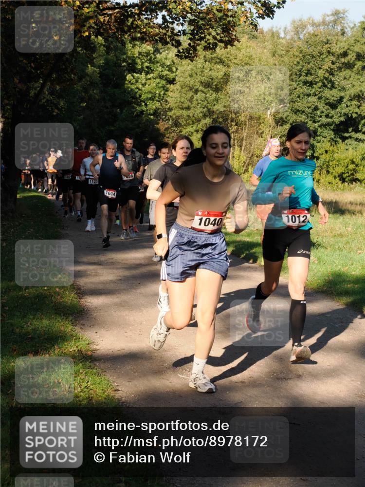 28.09.2025 - 33. Volkslauf durch das schöne Alstertal Fabian Wolf http://msf.ph/oto/8978172 28.09.2025 10:04:43 Laufen 1604, 18, 1123, 1614, 38, 1040, 1012 meine-sportfotos.de