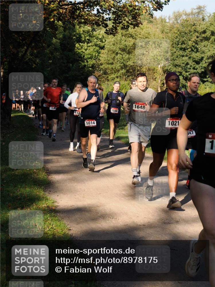 28.09.2025 - 33. Volkslauf durch das schöne Alstertal Fabian Wolf http://msf.ph/oto/8978175 28.09.2025 10:04:45 Laufen 16, 1808, 112, 1614, 1548, 1648, 1021, 647, 1 meine-sportfotos.de